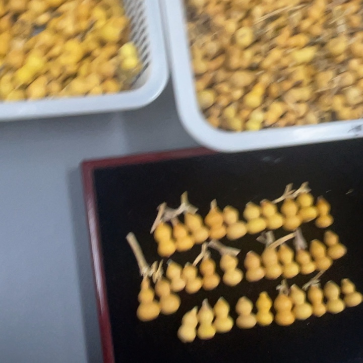 用***3葫芦默认微瑕不退不换