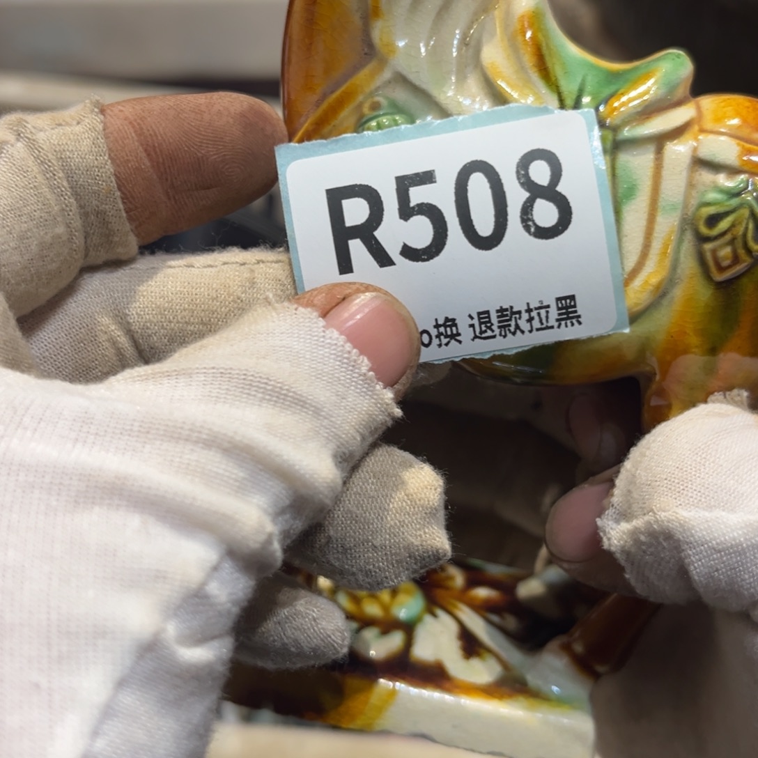 王***鱼陶瓷直播链接火爆热卖热卖