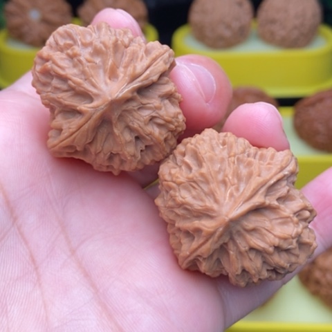 把件文玩核桃龙鳞纹34/35