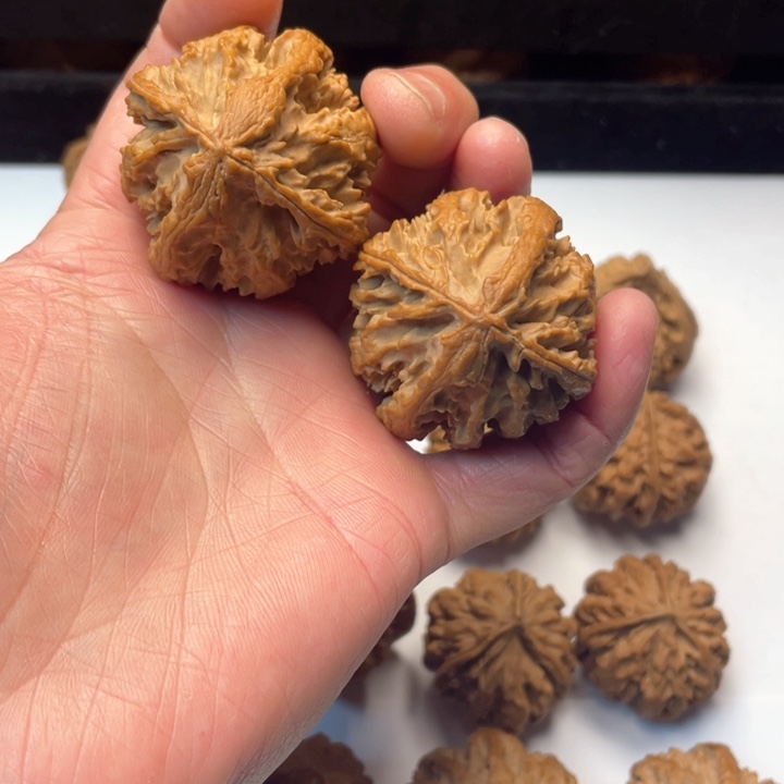 文玩核桃把件文玩城的小伙伴们