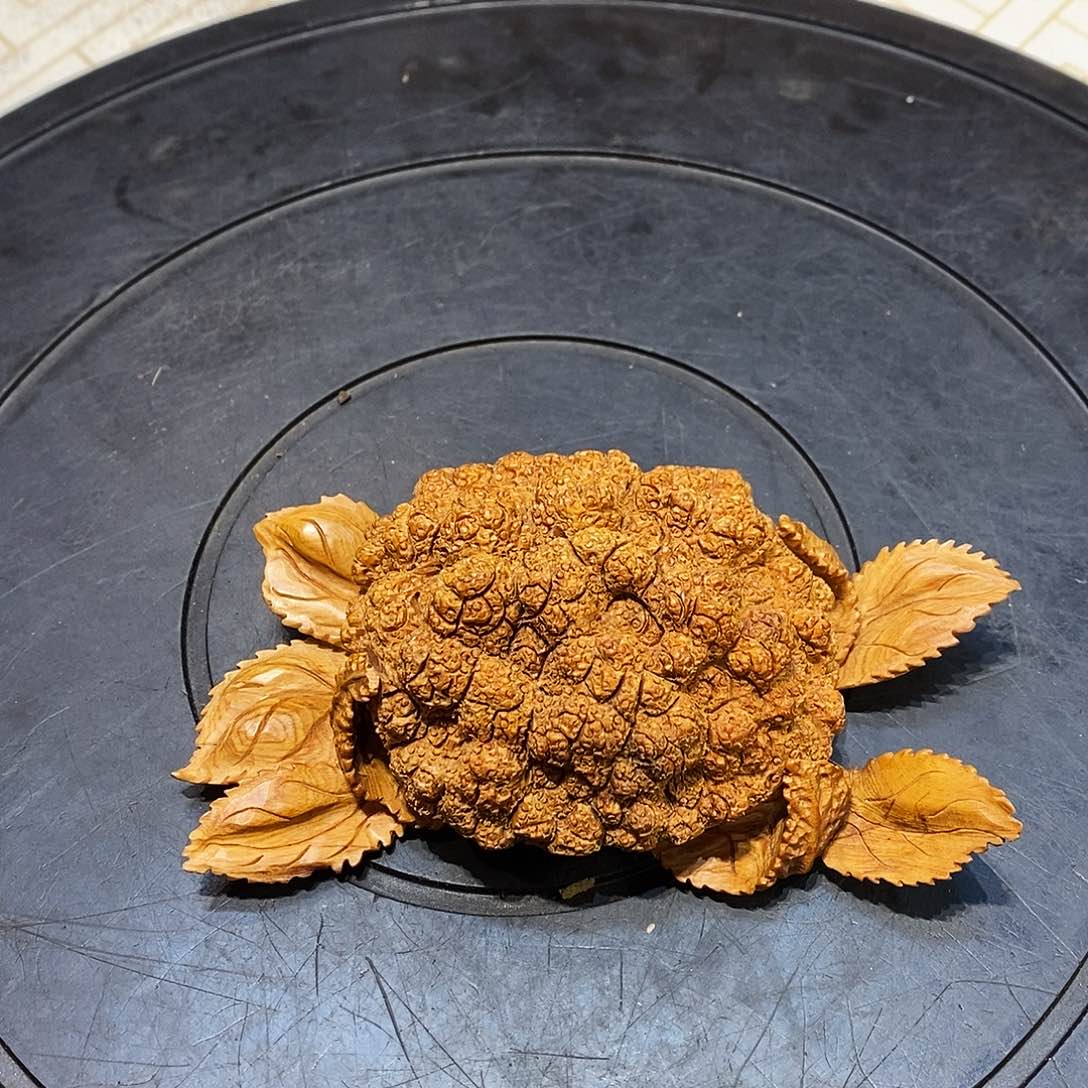 柏木（崖柏）崖柏柏木