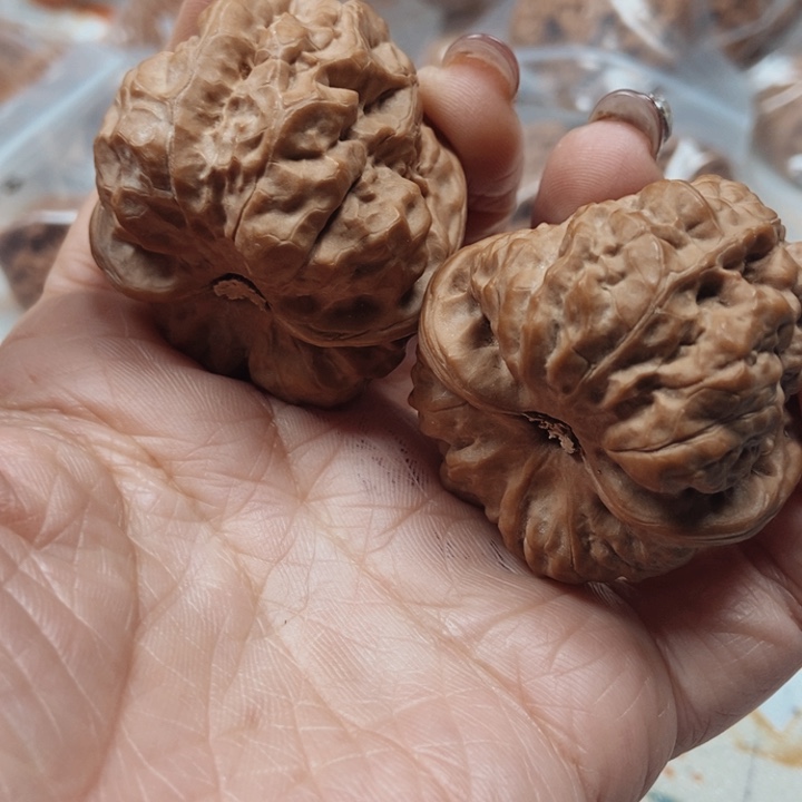 吊坠文玩核桃蛤蟆