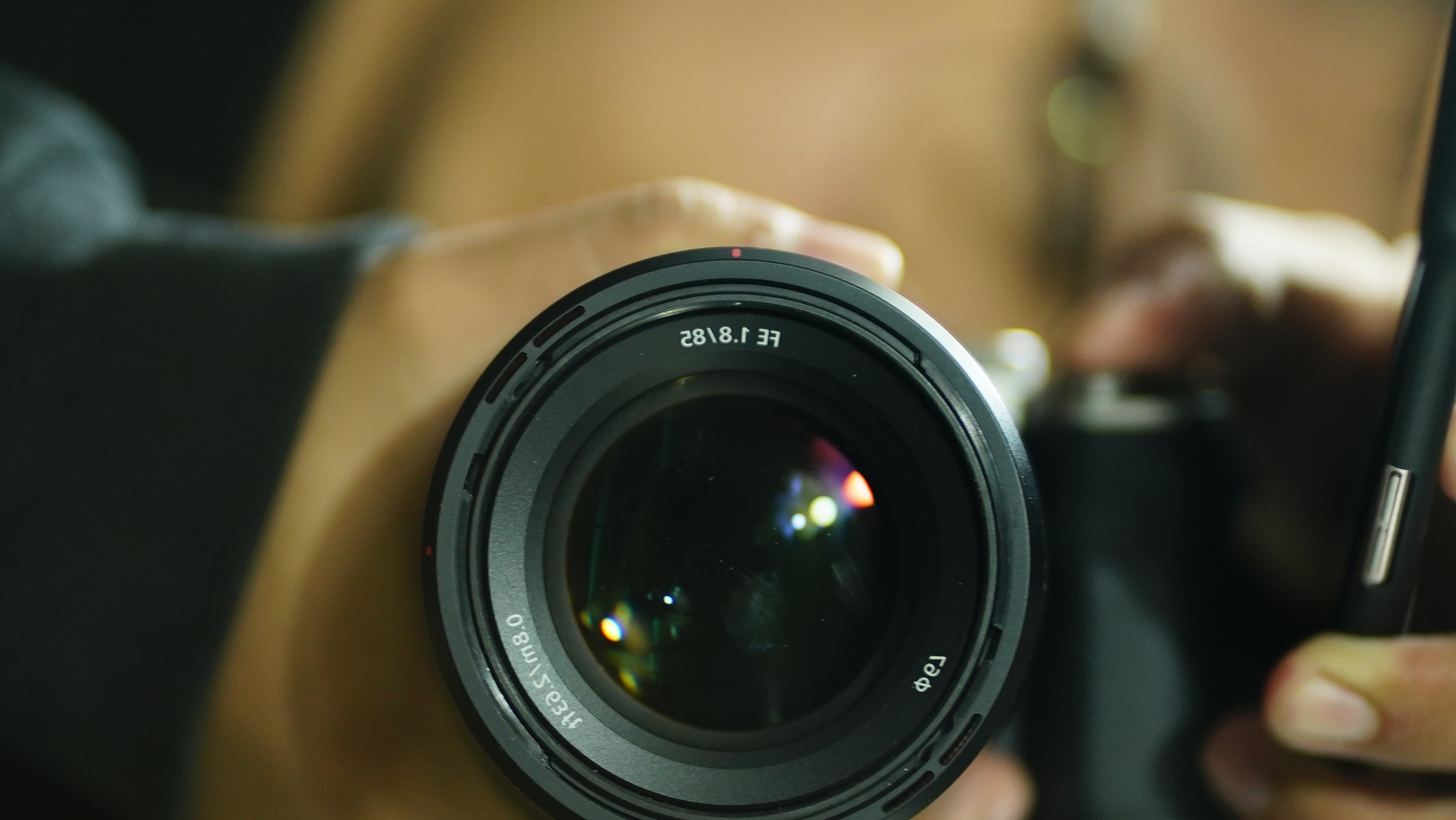 玉女孢子苗！！！一五一