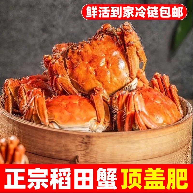 【活蟹】盘锦河蟹（全母1.3-1.0两/30只）顺丰京东包邮2