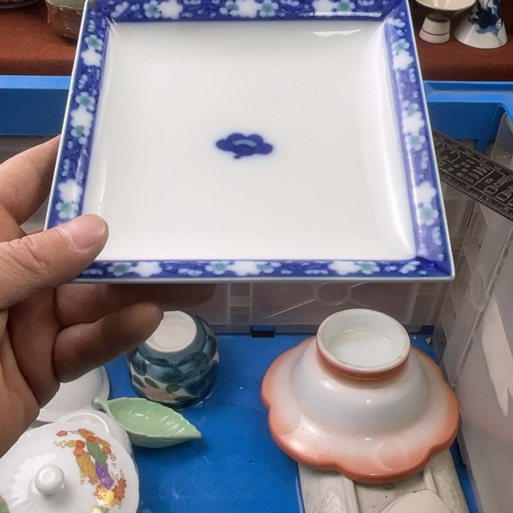 碟开播了开播了开播了