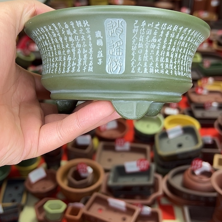 斐***哥花盆紫砂小花盆小圆盆