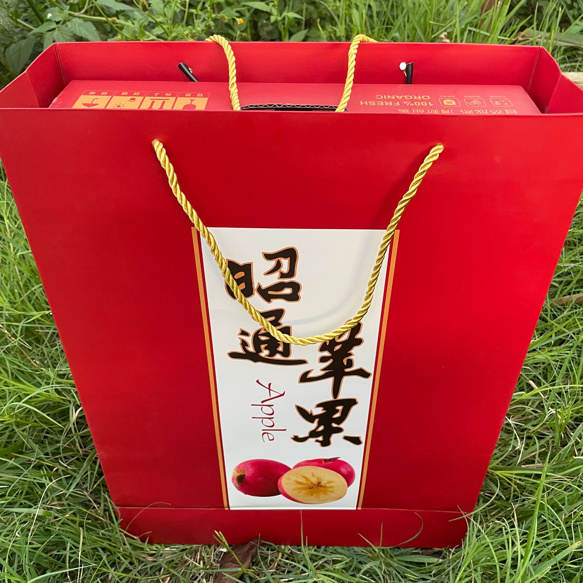 云南昭通高山源头产地直发云南昭通昭通冰糖心苹果丑苹果