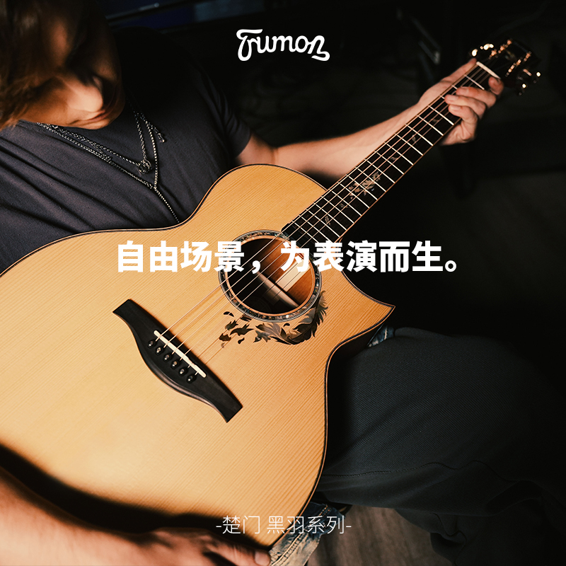 TRUMON楚门新一代黑羽WING 950 MAG - S7 全单板专业加振电箱