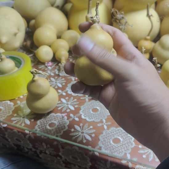 浮***影精品葫芦精品葫芦