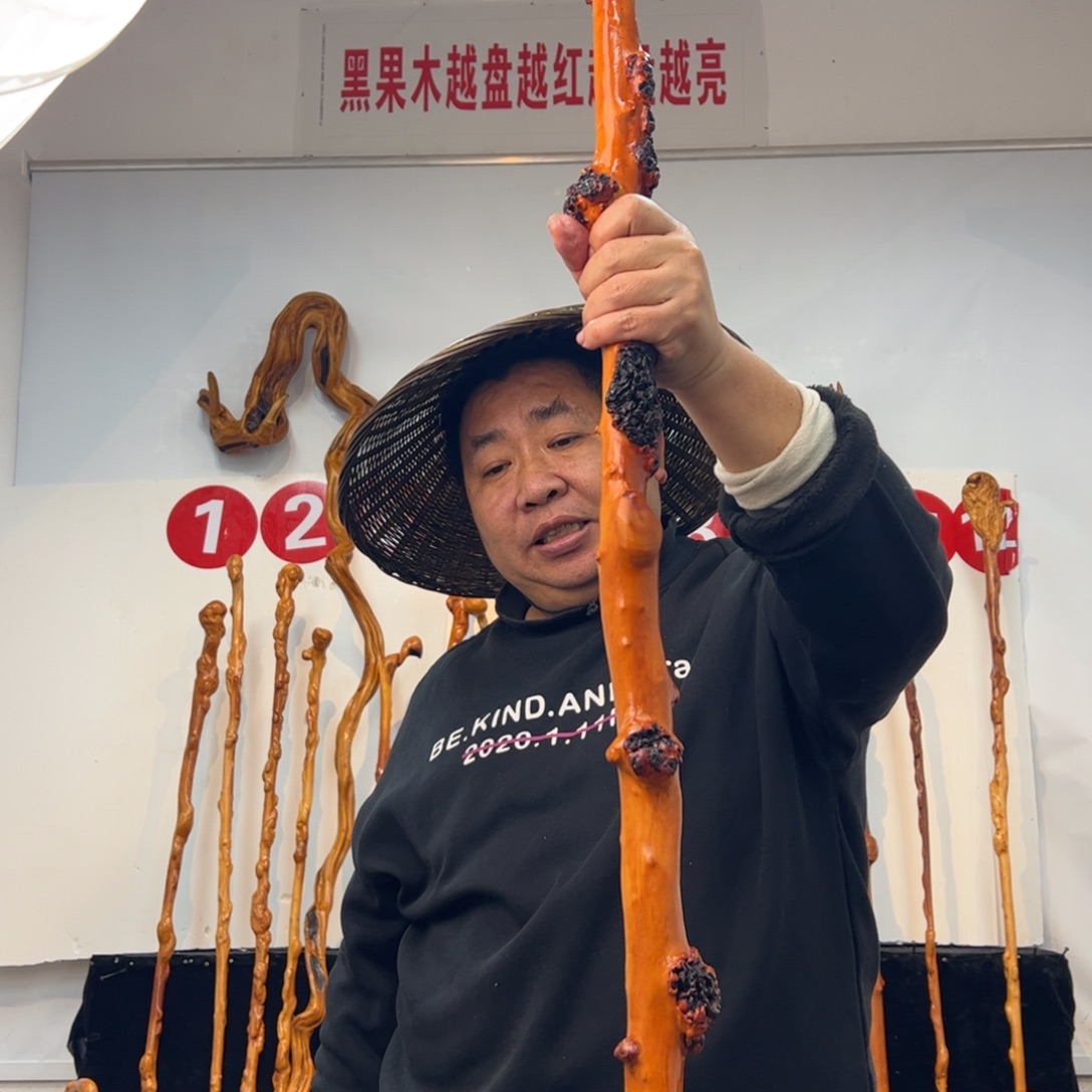 美***乐黑果木其他黑果木420