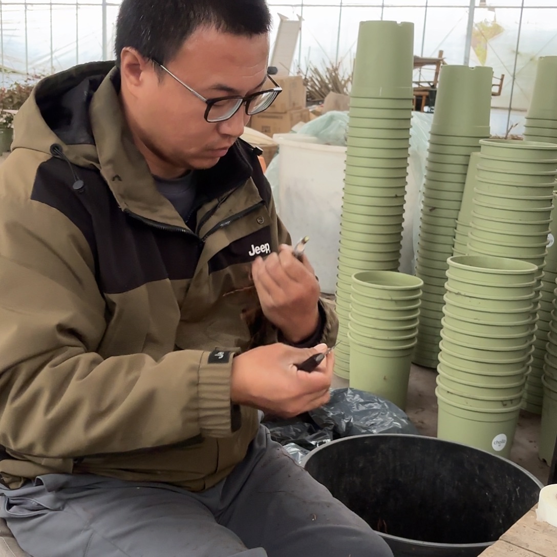 ****气欧姐的戴维1.5加仑