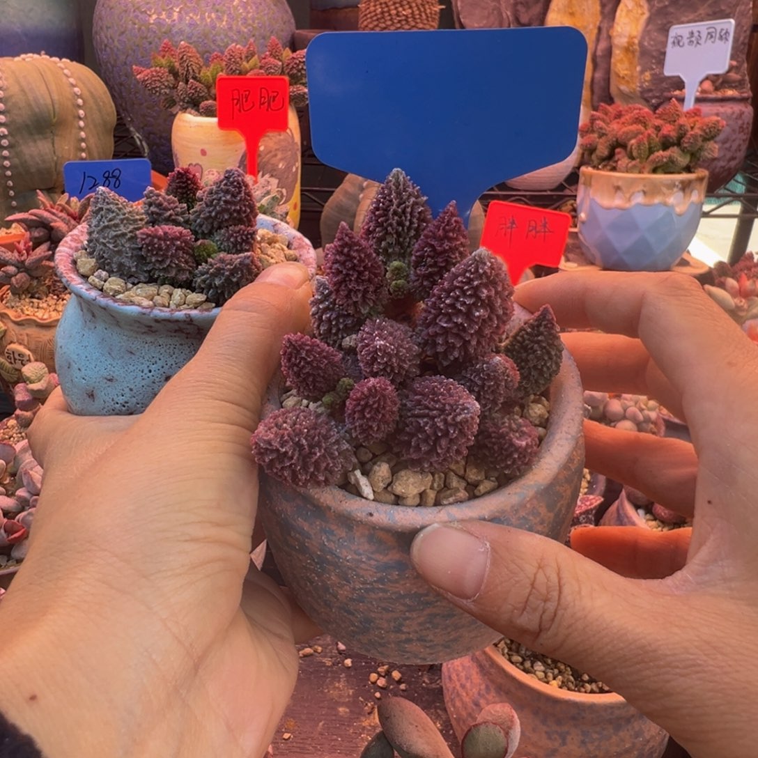 我***呀我们要的就是这一点点