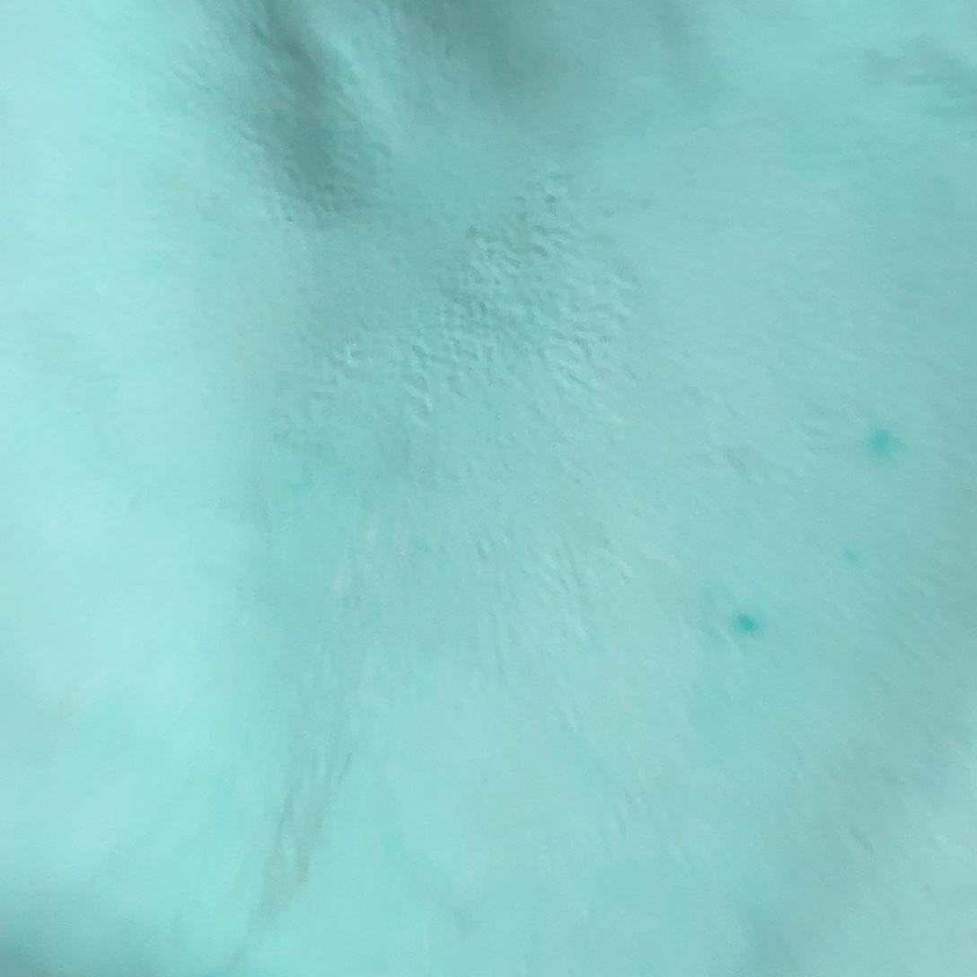 海水鱼哥哈哈哈哈哈哈