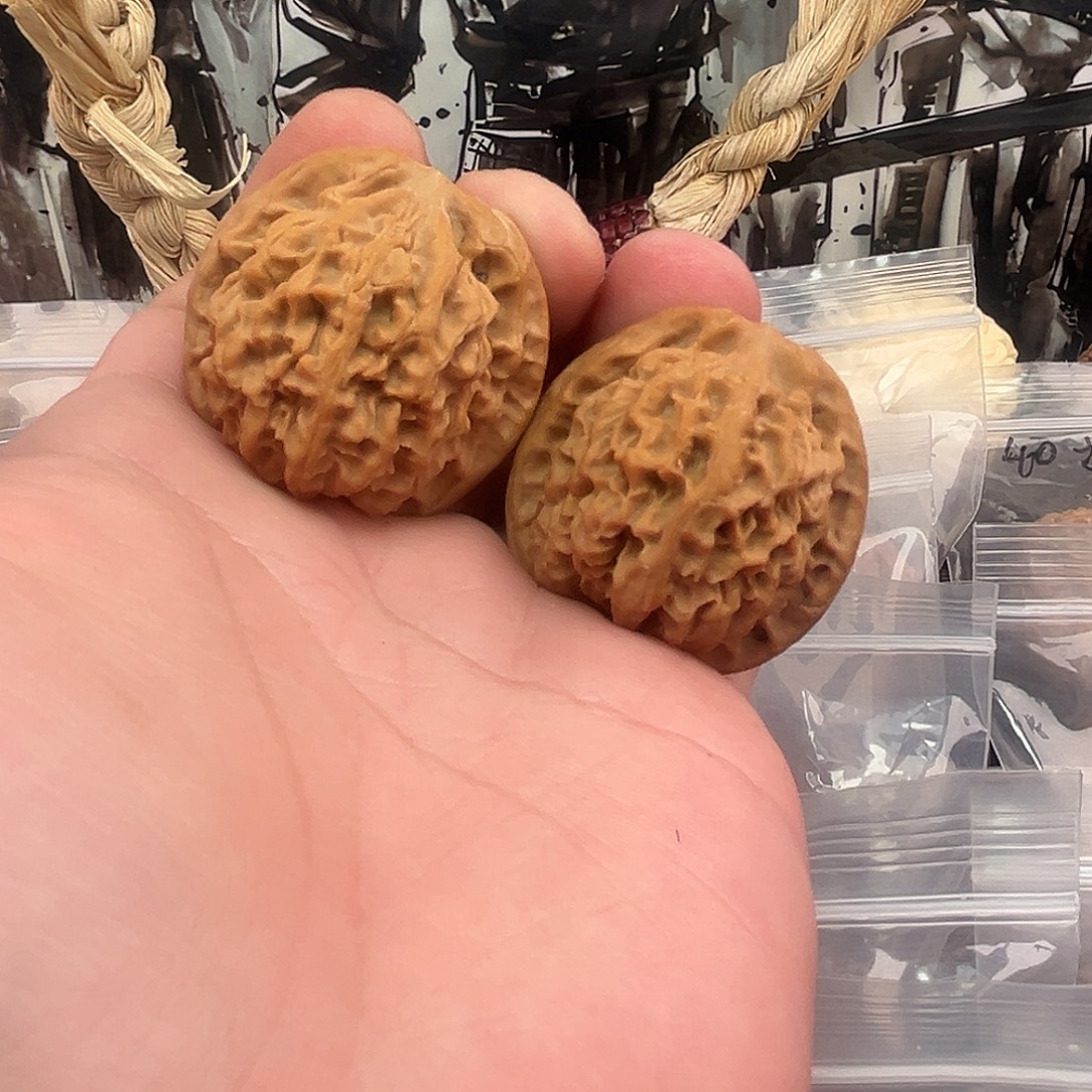 把件文玩核桃秦公子38尺