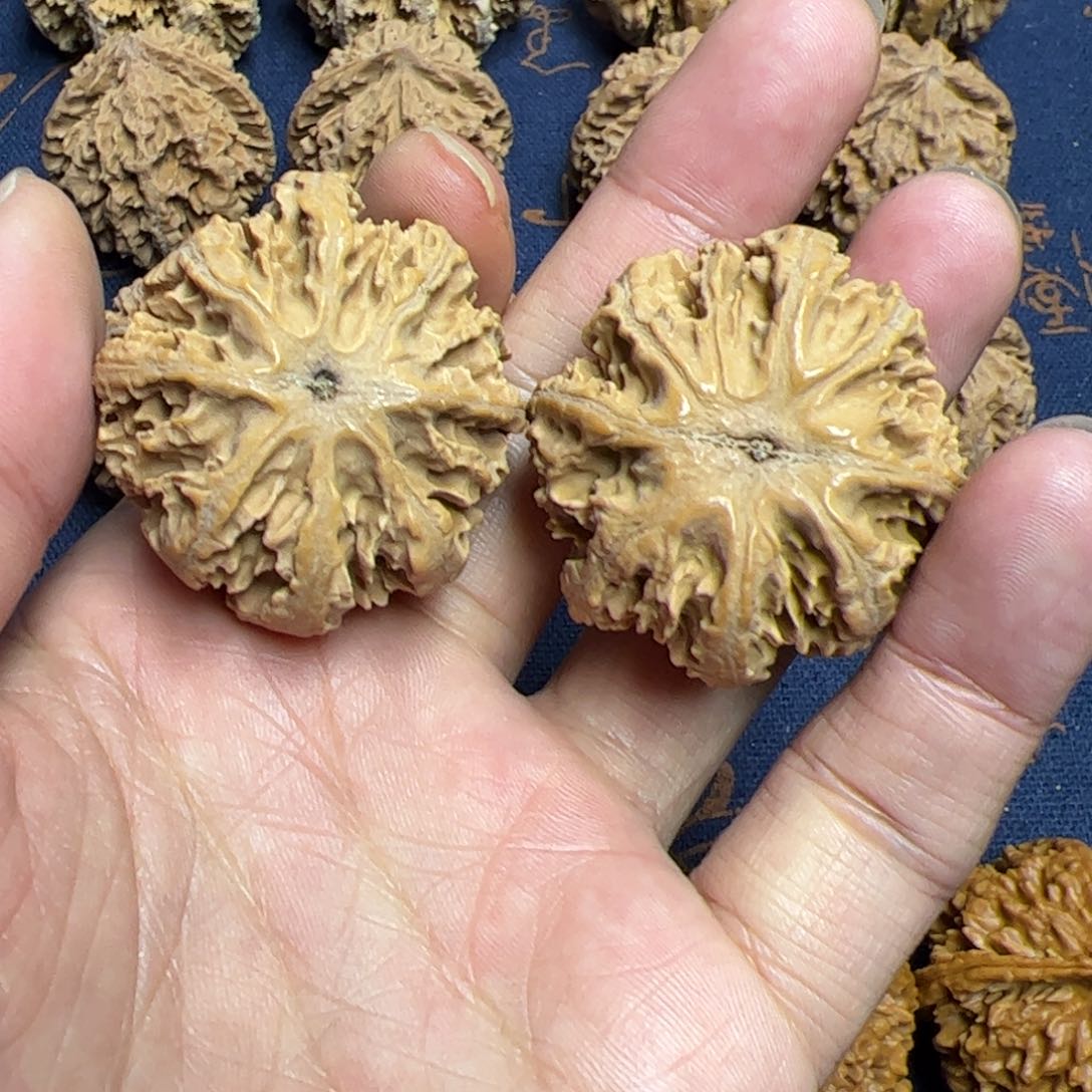 文玩核桃把件秦岭野生植物核桃