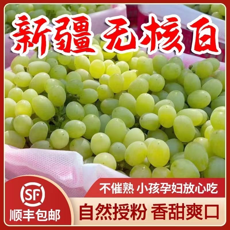 【明日必达】 5斤更划算 正宗新疆吐鲁番无核白葡萄 无籽无核 包邮 全国仓发坏果包赔新疆维吾尔自治区