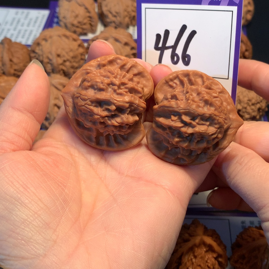 用***5核桃466图图4.3全品