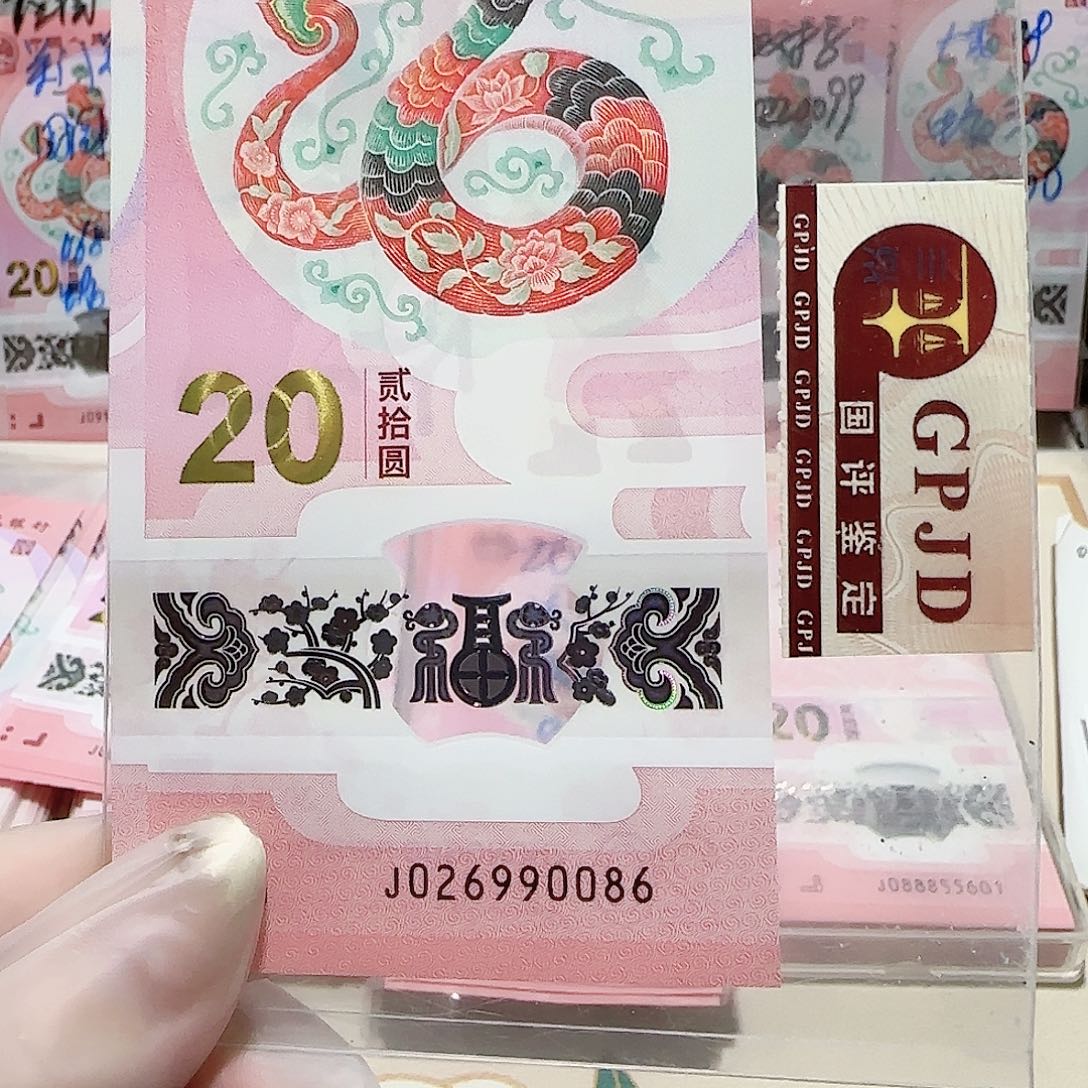 纸026990086。。。龙珠