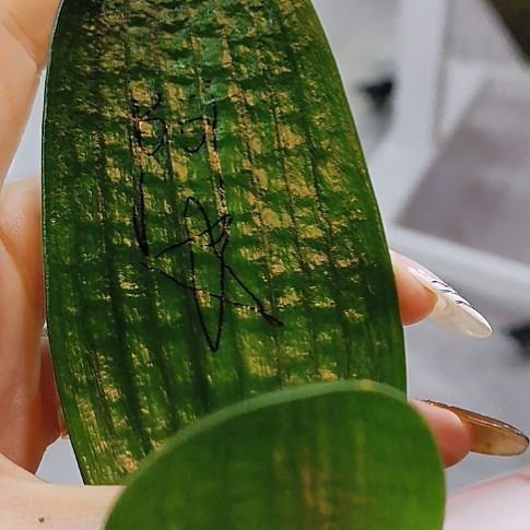 完全开放如图图我想问一下