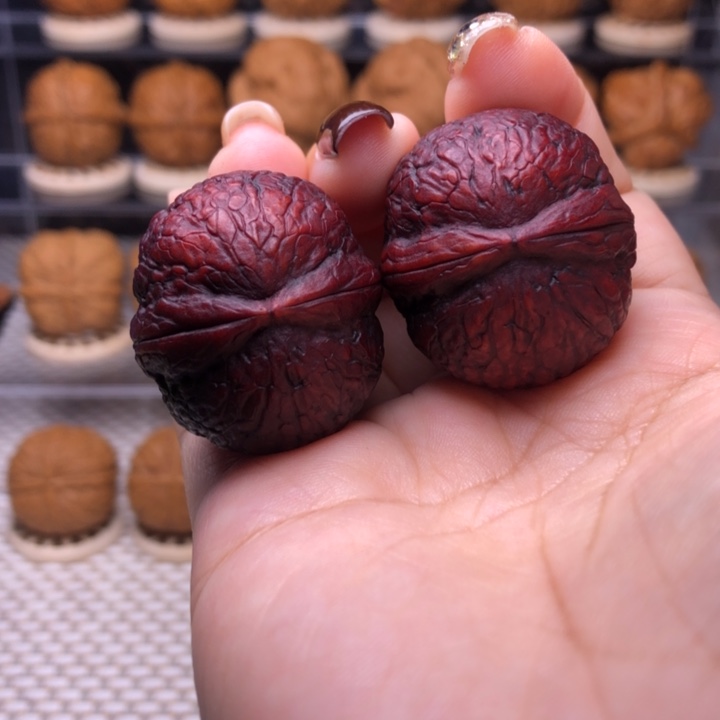 把件文玩核桃15号七彩龙珠32尺