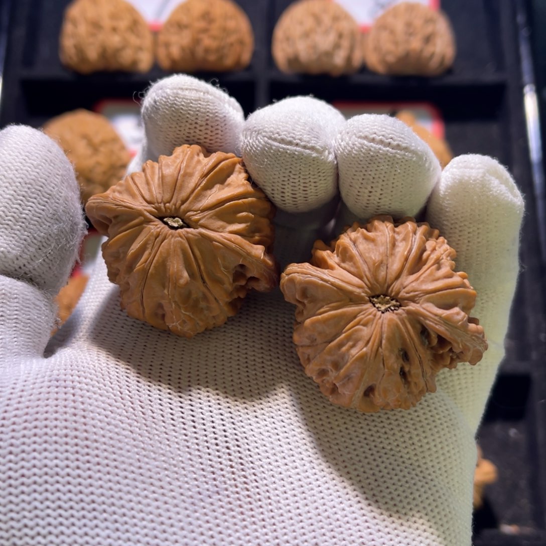 秦皇岛山地果全品40山地磨1