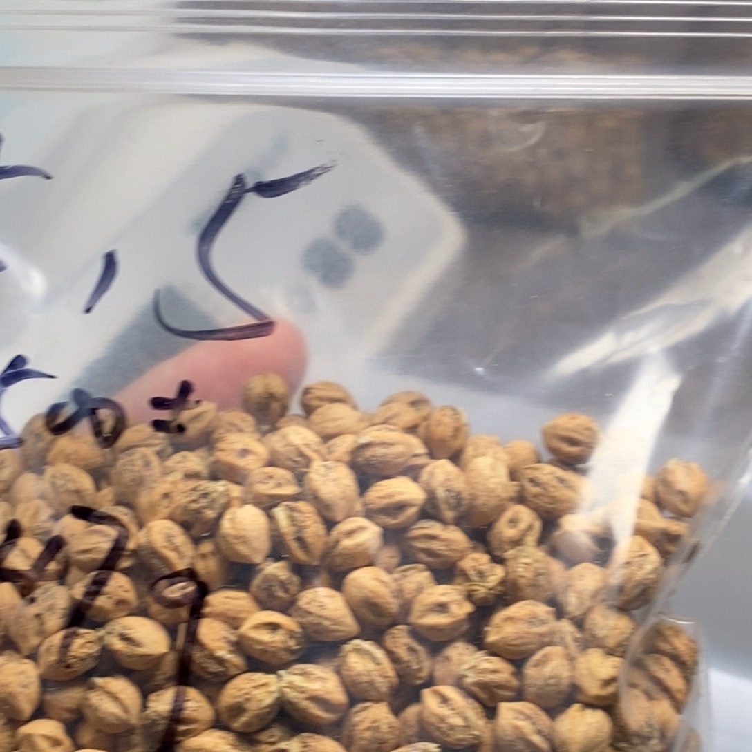 柏香籽/百香籽吊坠十*?