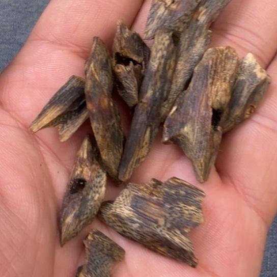 沉香手把件流油王沉水原材料多样性发货10克