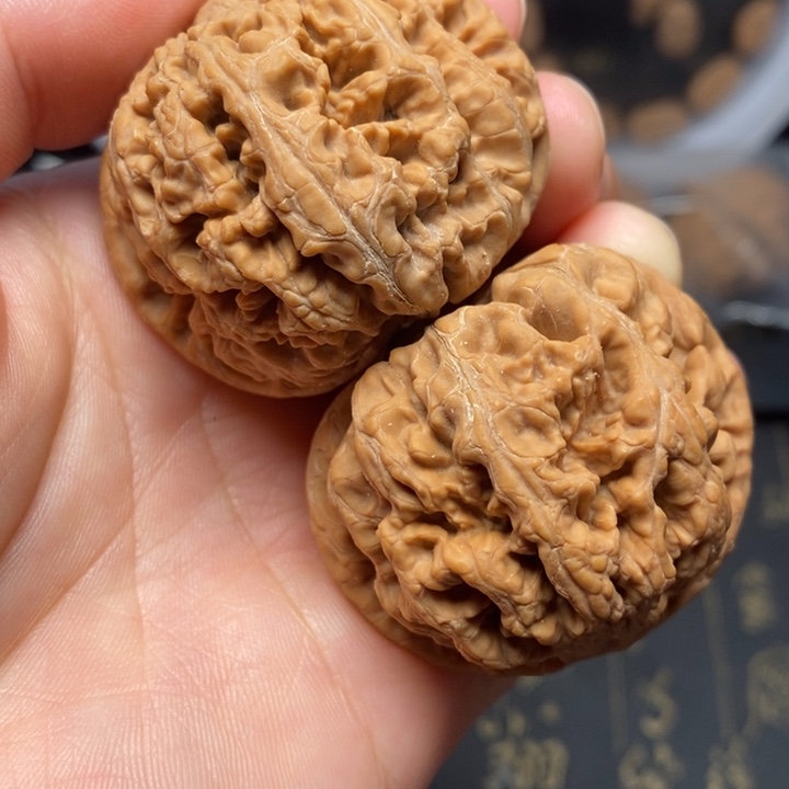 文玩核桃麻核桃粗筋