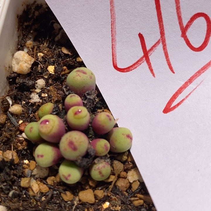 4163一个一个一个