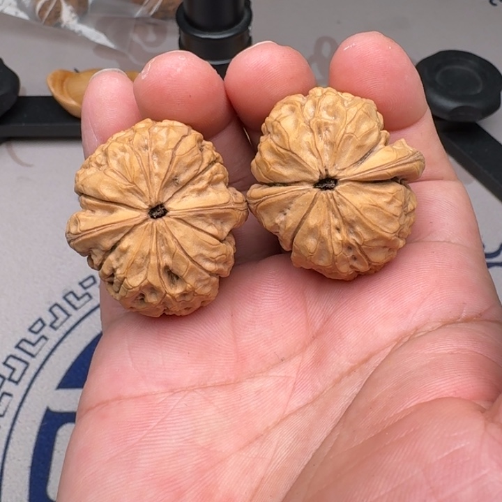 吊坠桃核甲骨文37尺3尖有修