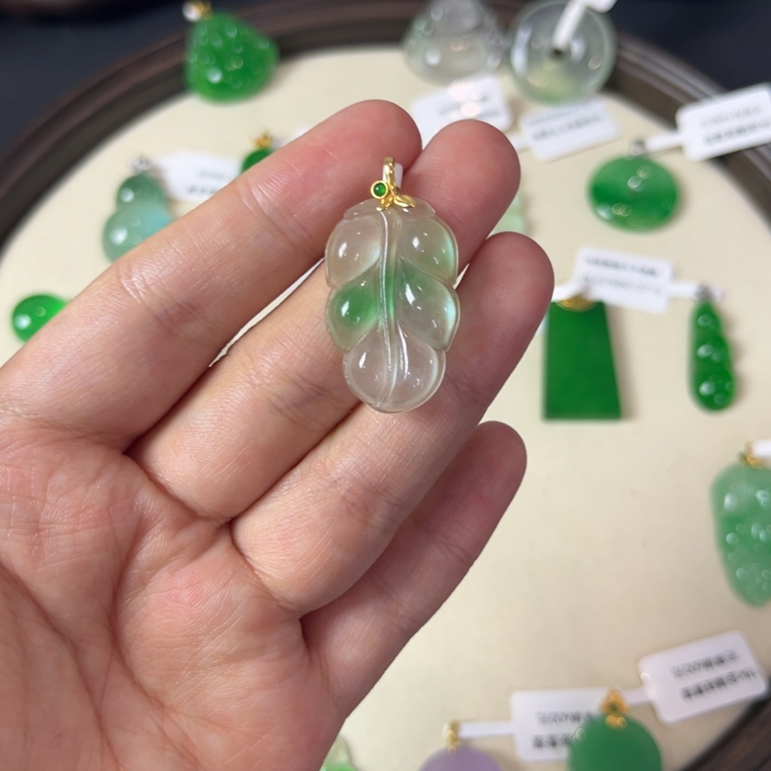 夸*句树叶直播编号S0552