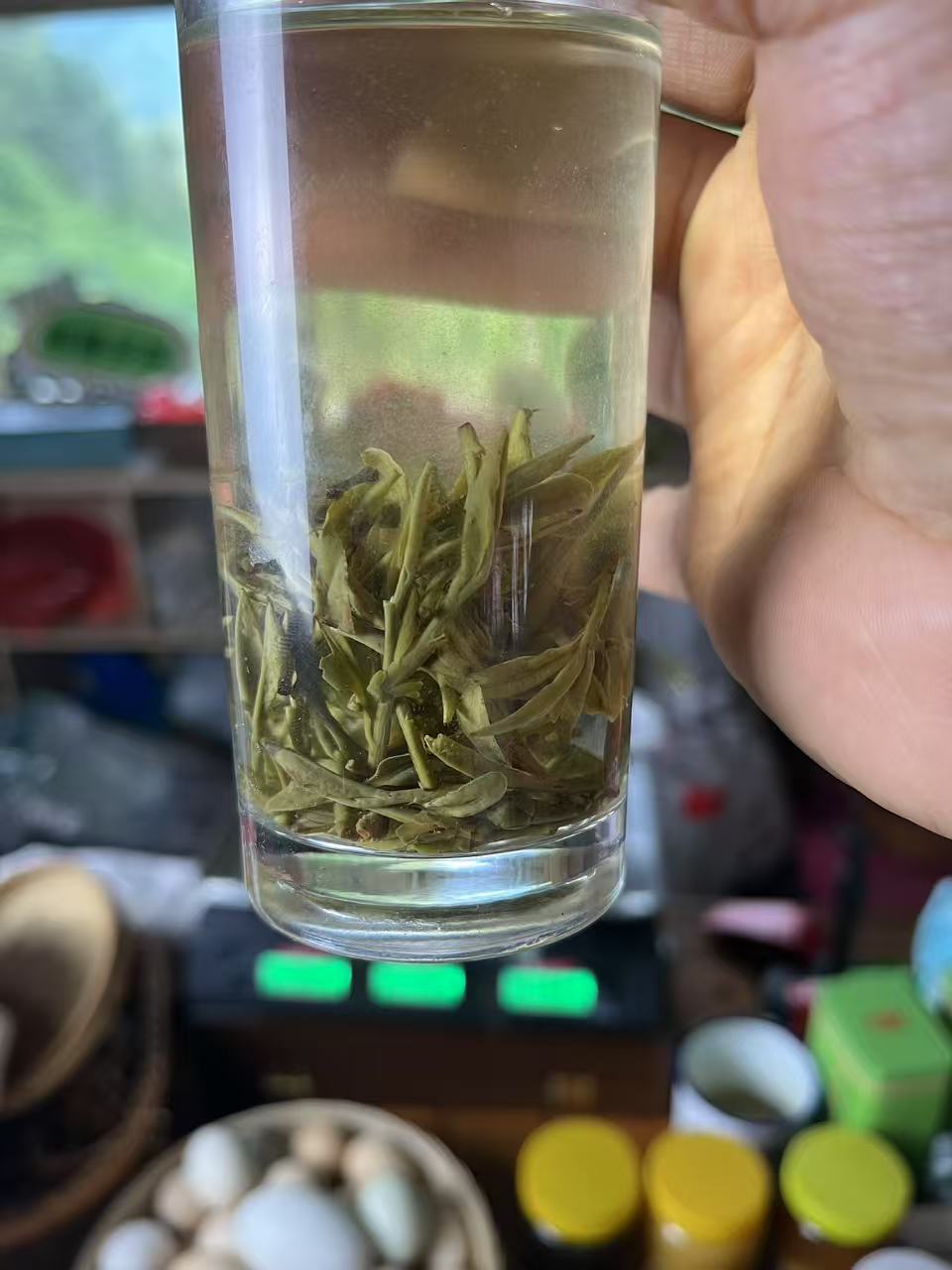 【山货专属】高山2025年土茶绿茶