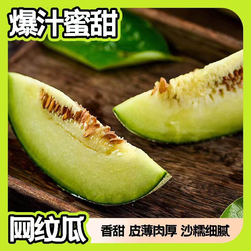 【东三省次日达】伊丽莎白瓜（福利果）新疆维吾尔自治区