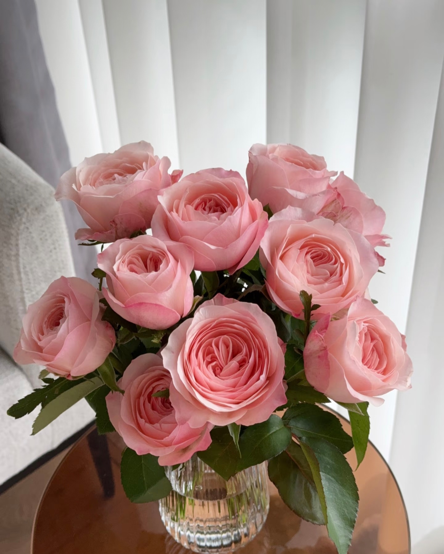 凯瑟琳玫瑰【收到花有任何问题请第一时间联系客服】