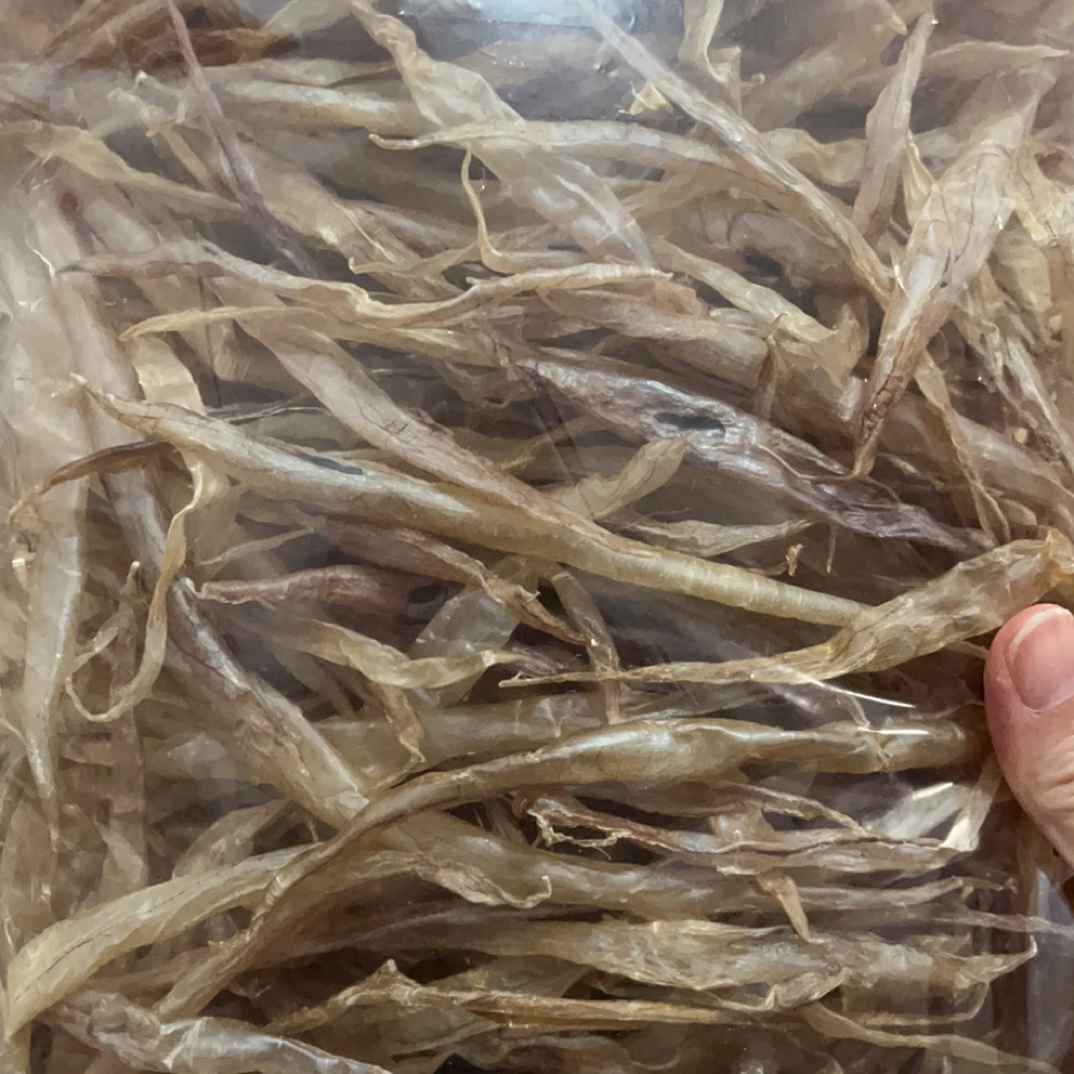 船晒中号漏气鳗鱼胶