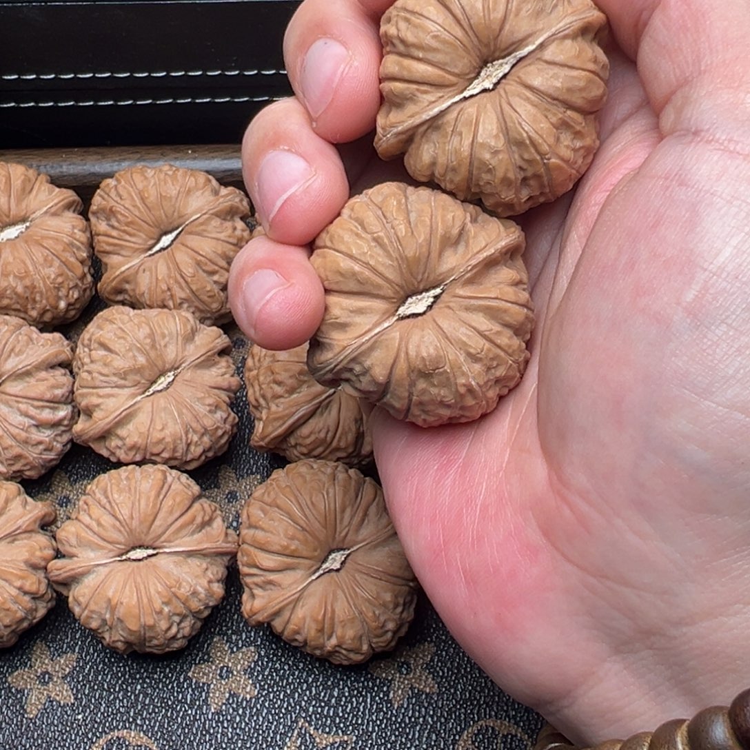 清***岛226-1115 南瓜墩 42