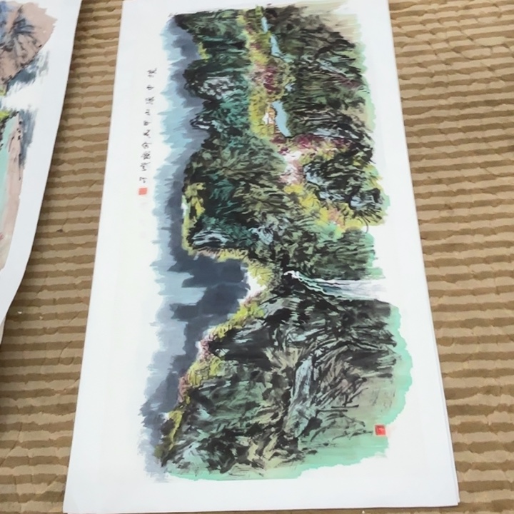 国画花鸟等多种鸟类和鸟类70.140