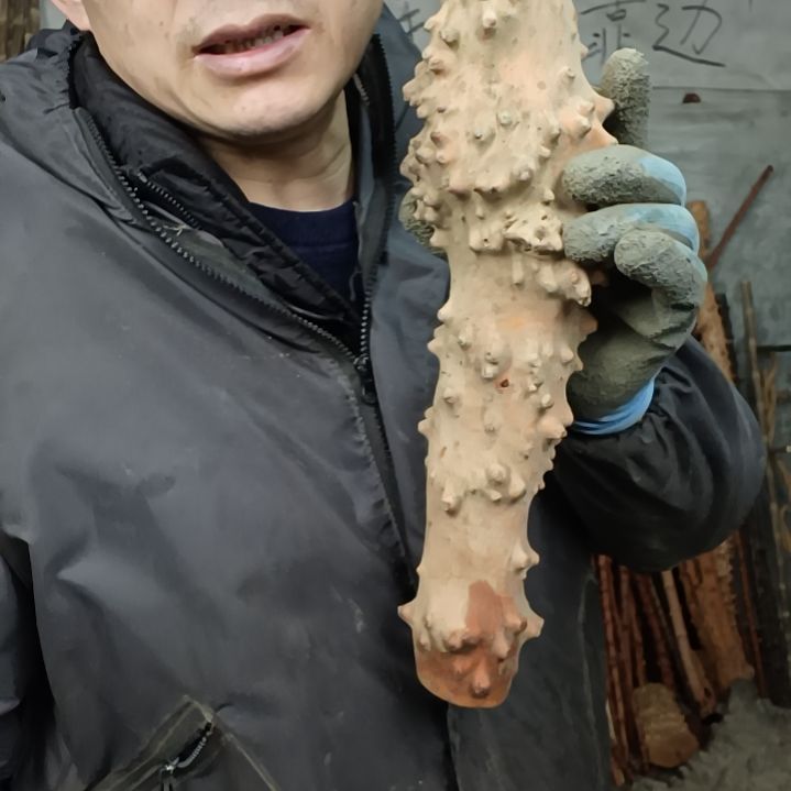 稳定木?****?贵州檬子木   铁马鞭   根艺  半成品
