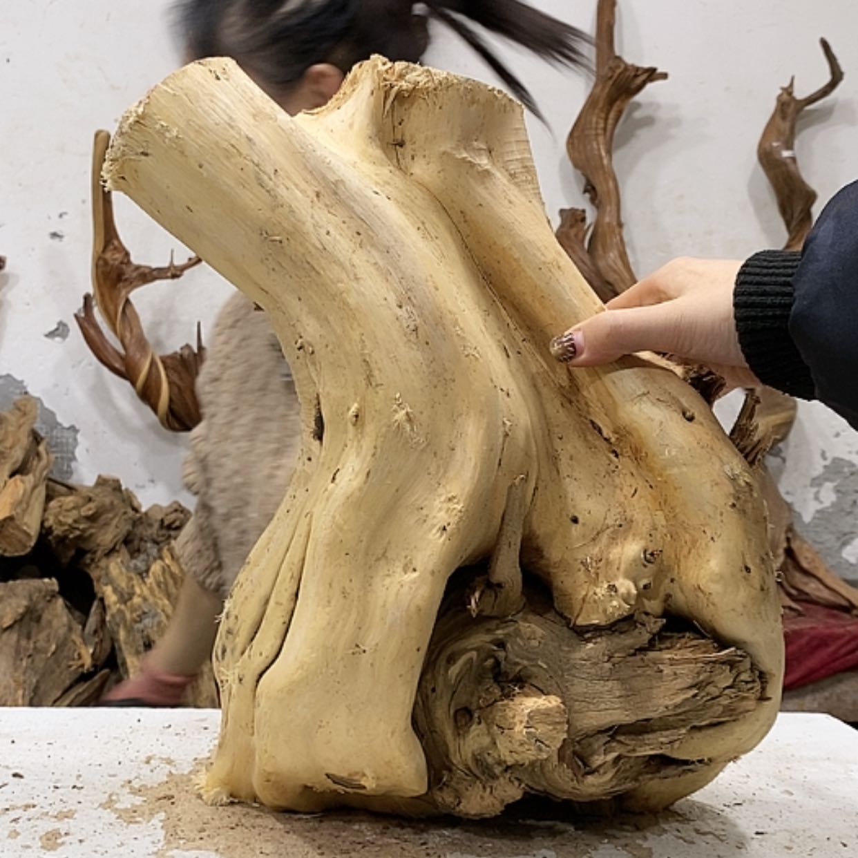 【闪购商品】柏木t****寺我们都是好孩子