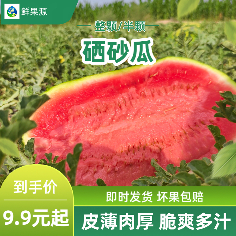 【鲜果源小时达】硒砂瓜整颗/半颗内蒙古自治区