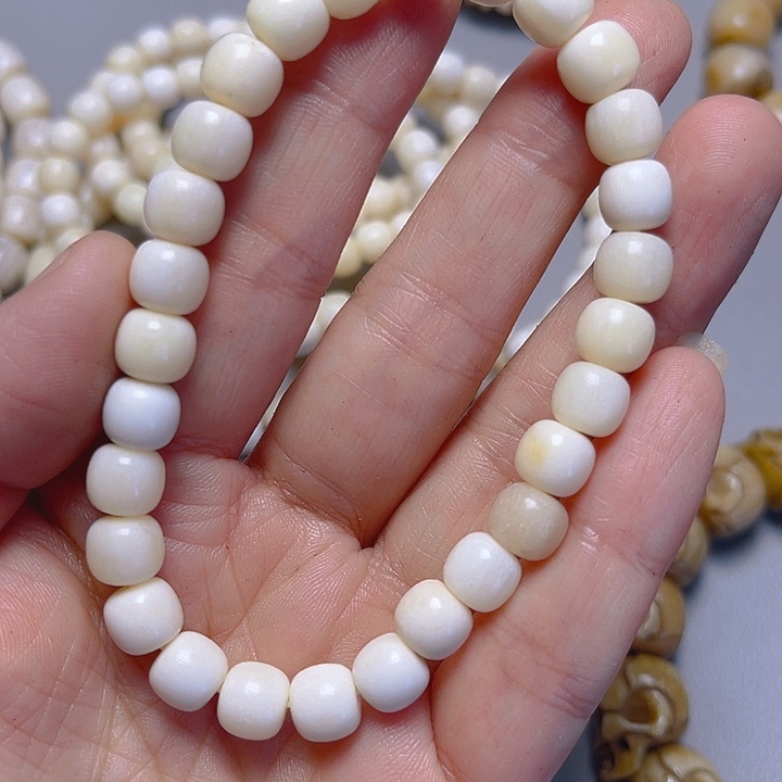 大果紫檀（缅甸花梨）