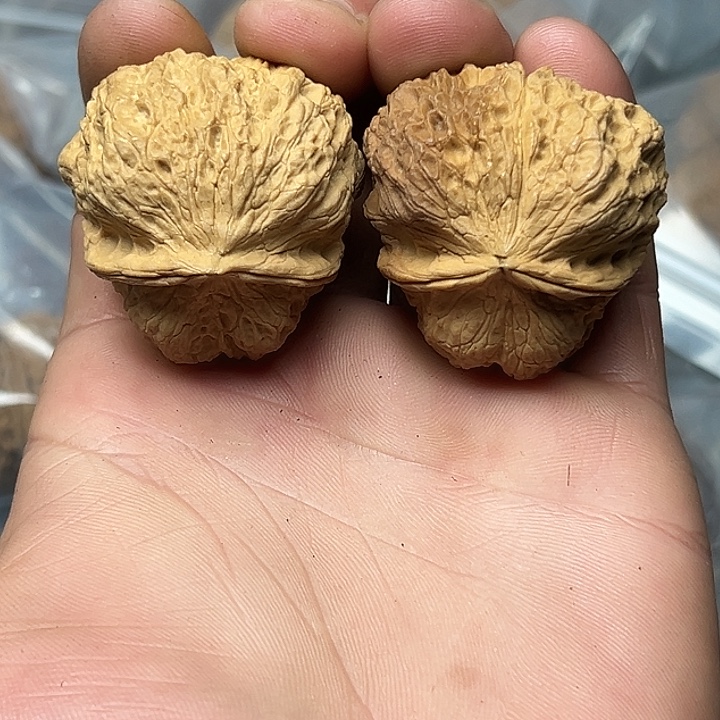 核桃23号官座40尺