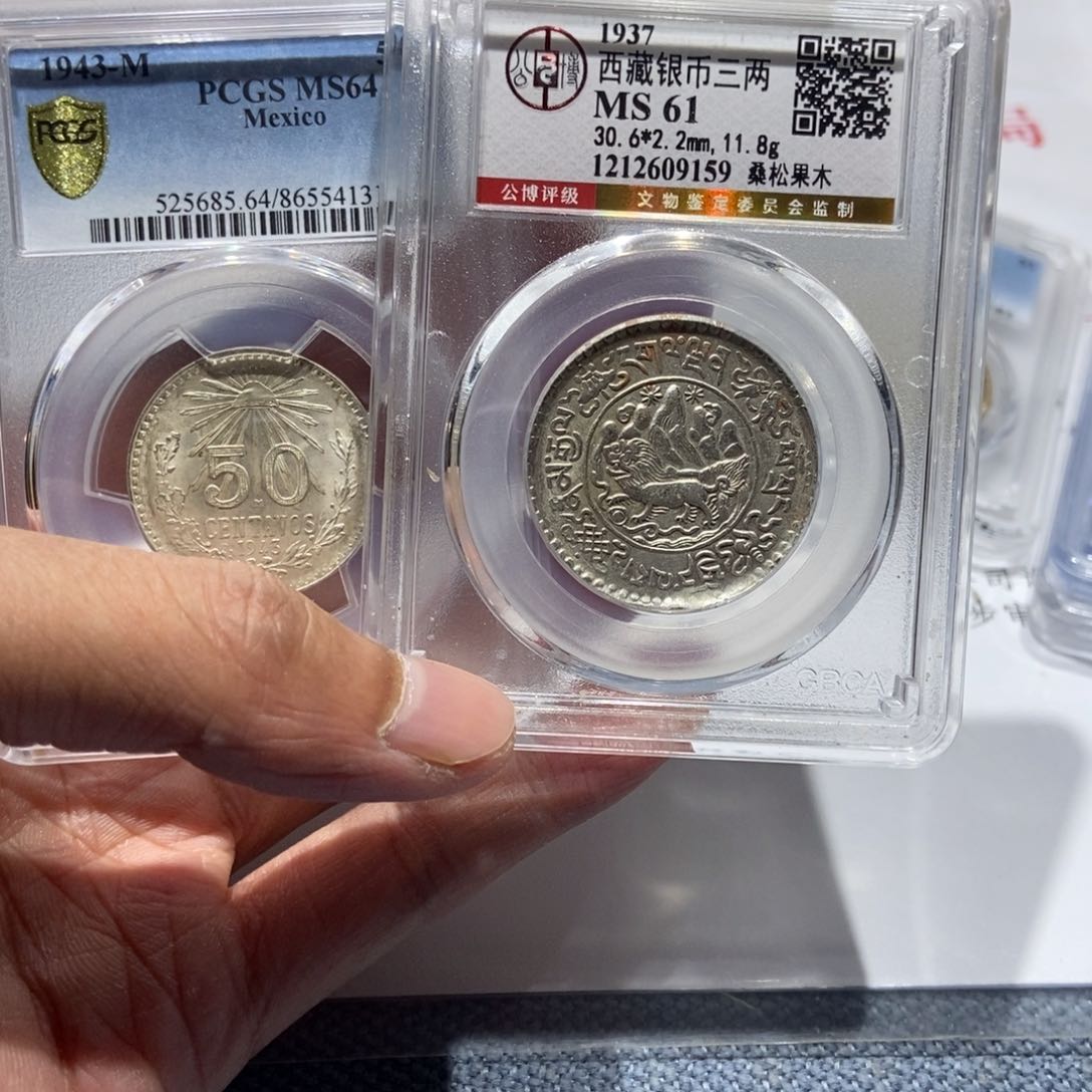 银用****光桑松果木鹰洋/国福泉信/54131-09159