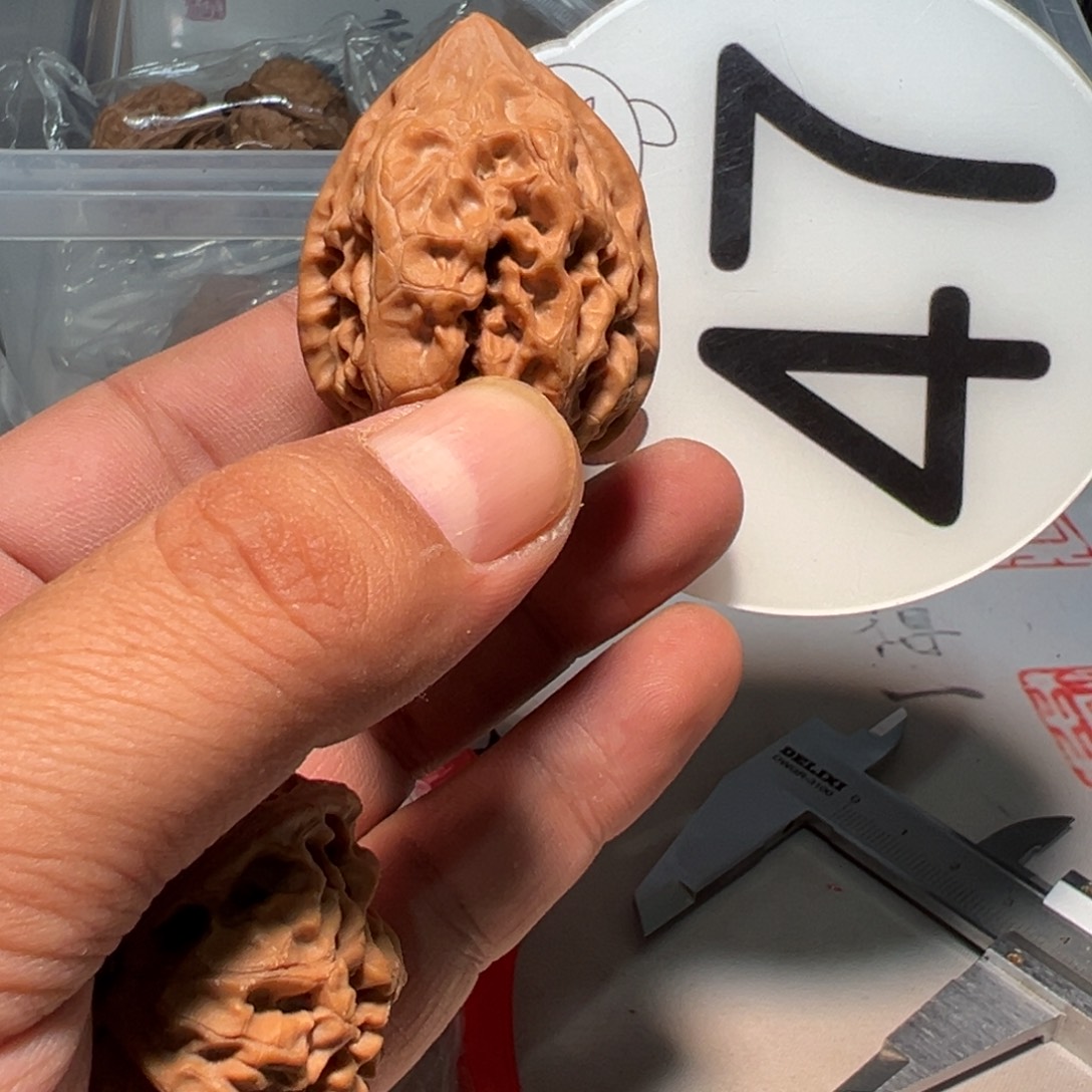 来***弟文玩核桃，白色47号