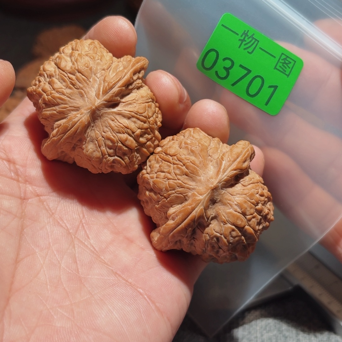 把件文玩核桃血麒麟