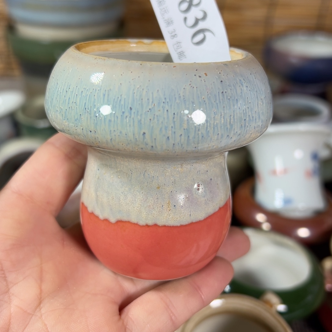 红陶景德镇陶瓷……