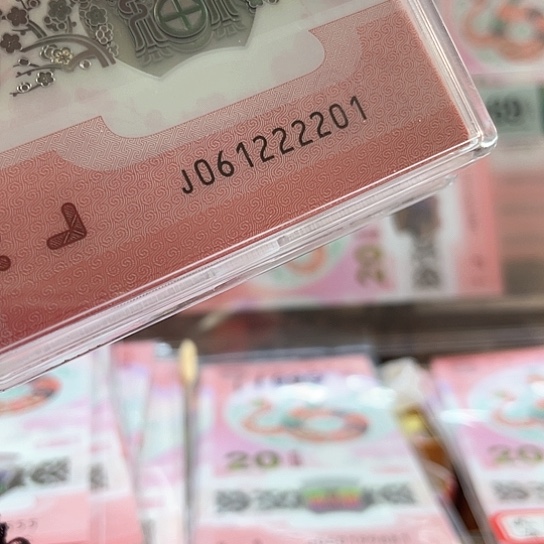 塑料小蛇钞061222201单张 朦胧