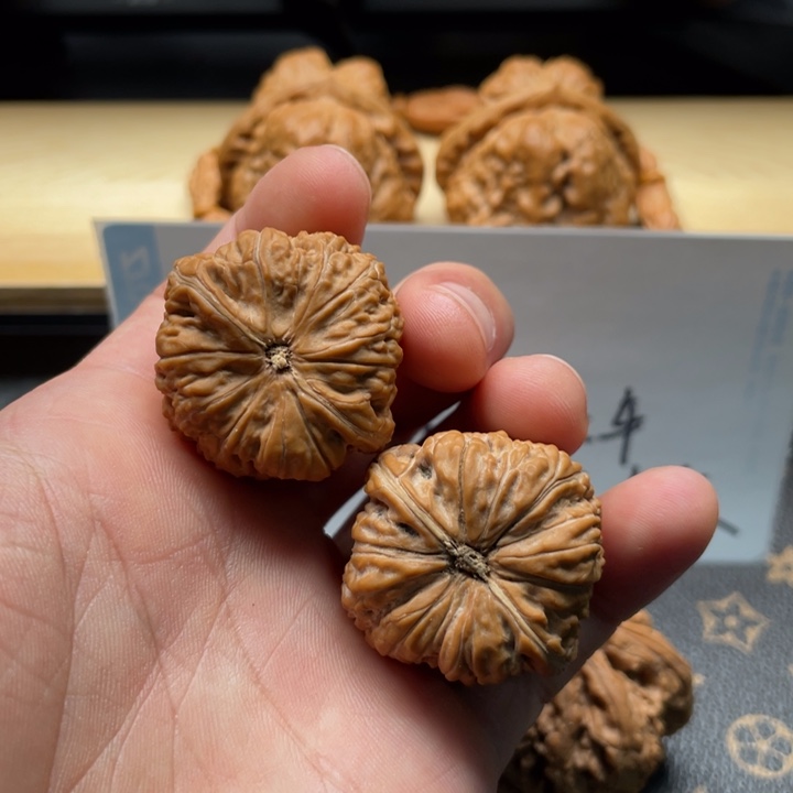 核桃金蝉子文玩核桃