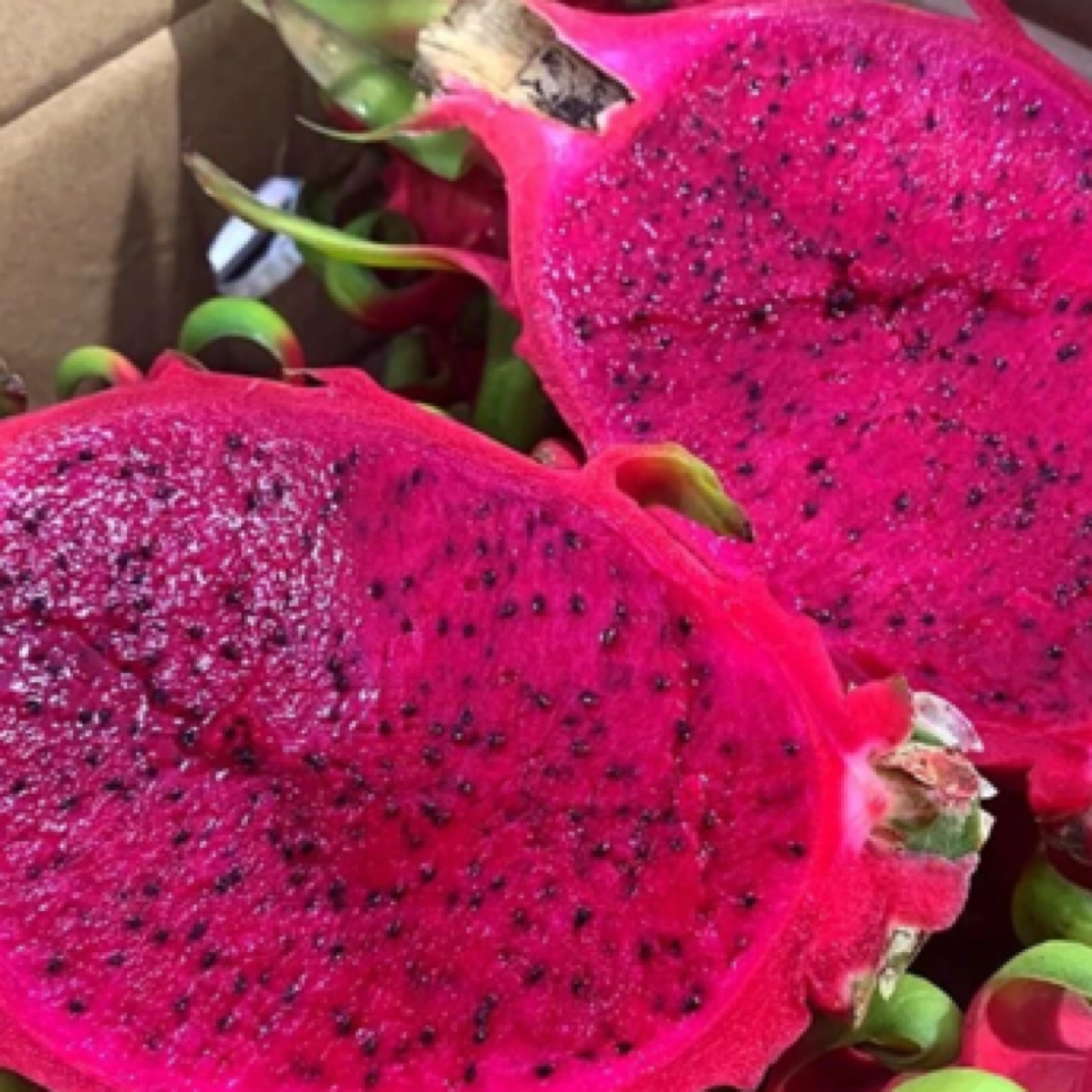 火龙果 4 个约 2 公斤左右 70 大果