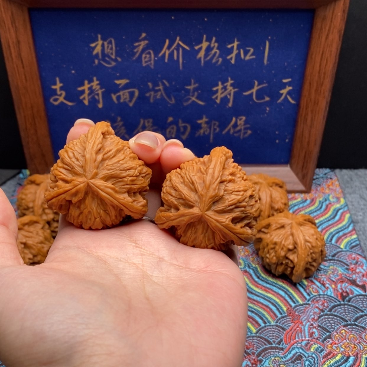 【闪购商品】仰****空白狮